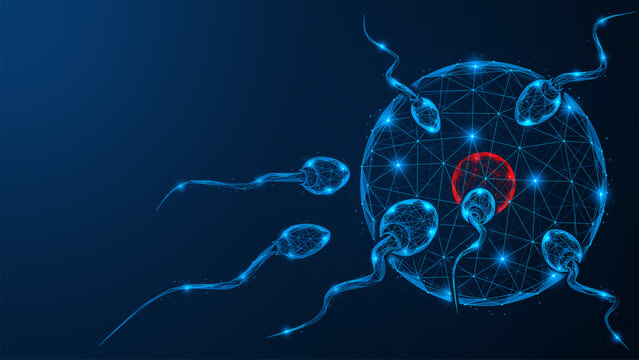 The process of fertilization, sperm cells approaching the egg cell. The concept of the interaction between male and female reproductive cells, conception, and the first stage of embryonic development.