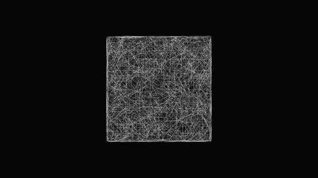 Sketch Wright outline map animation - smooth progressive reveal
