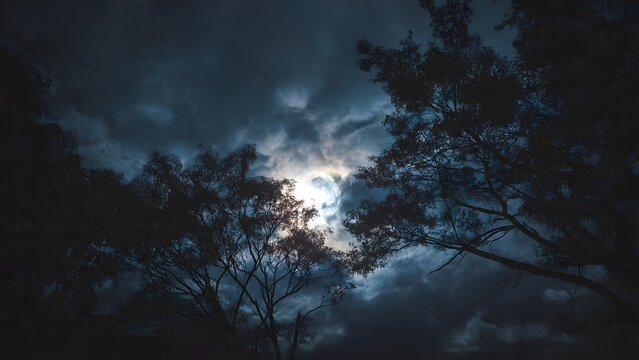 Moon shining through dramatic night clouds and trees