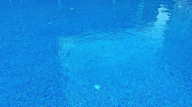 Water in the swimming pool shows ripples caused by movement, reflecting sunlight. The pool is surrounded by tiles and looks inviting. It is a bright afternoon.