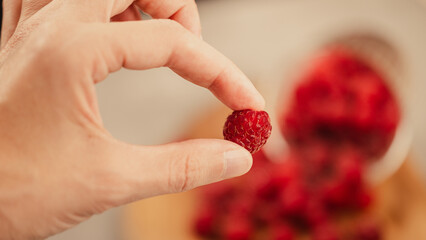 Person holding single fresh ripe red raspberry in hand close up macro food stock photo © Jakub