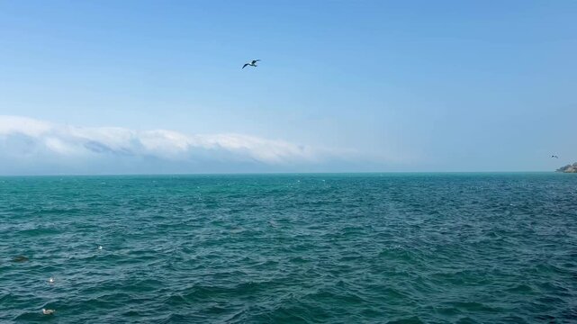 Tranquil scene of birds soaring above turquoise waters with distant mountains and a clear blue sky at Lake Sevan, showcasing natural beauty