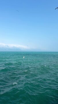 Tranquil lake view featuring clear blue water and birds soaring above, highlighting the serene beauty of Lake Sevan's landscape