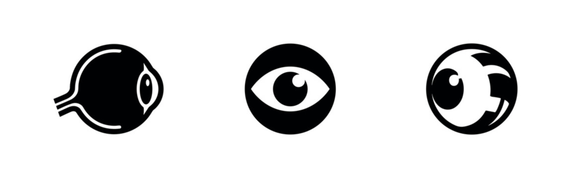 Human eye anatomy set including internal and external views.