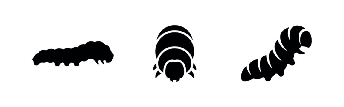 Caterpillar insect icons set in different perspectives. Minimalist vector illustration of a larva with segmented body.