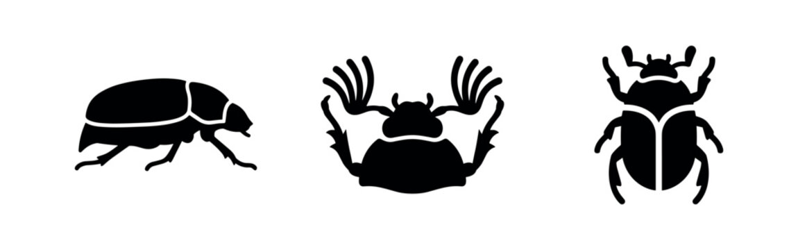 Beetle insect icons set, including dung beetle. Minimalist vector illustration of various beetle species.