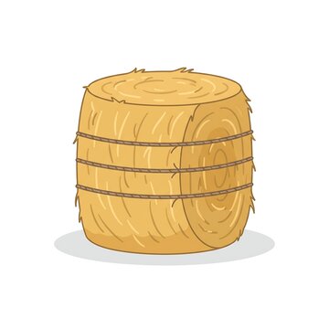 A single round hay bale made of dried golden straw from a farm