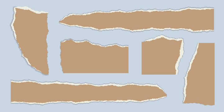 Torn paper edges with realistic ripped texture. White sheet fragments, vector scrap pieces perfect for scrapbook frames, notebook pages, and creative design projects.