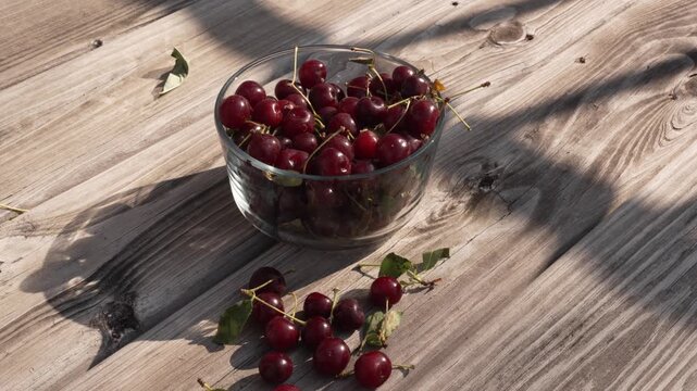 Female hand with red manicure reaching for ripe cherries in a glass bowl. Fresh homegrown fruit, organic summer harvest, healthy snack, natural food and backyard gardening concept