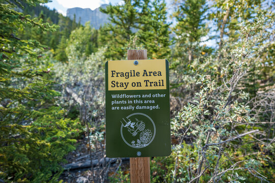 Canmore, Alberta, Canada - August 24, 2026 : Fragile area stay on trail conservation warning sign in mountain forest.