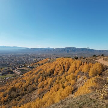 Vista panor&aacute;mica de valle oto&ntilde;al con colinas doradas y cielo azul despejado