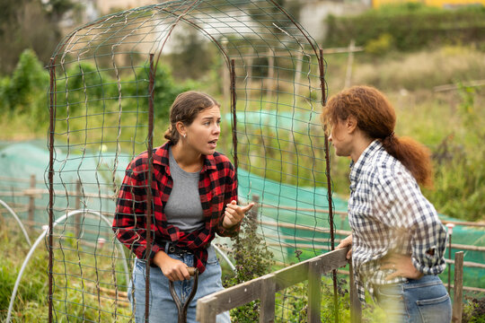 Two women quarrel at the border of garden plots