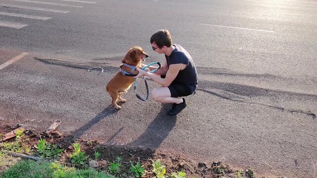 homem passeando com cachorro caramelo , ado&ccedil;&atilde;o responsavel 
