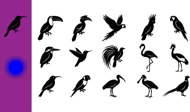 Collection of fifteen black tropical bird silhouettes featuring toucan hornbill parrot macaw cockatoo kingfisher hummingbird flamingo crane ibis quail pheasant songbird parrotlet banner isolated white