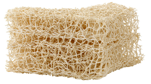 Isolated natural organic fibrous block sponge for exfoliating skin, bath, and body care