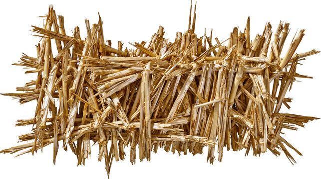 Isolated textured pile of dry golden straw and corn stalks, organic agricultural harvest residue.