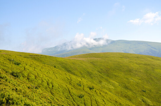 Expansive green rolling hills and mountain ridges with a narrow hiking path cutting through lush meadow grasses under a clear blue sky. Carpathian Mountains, Ukraine