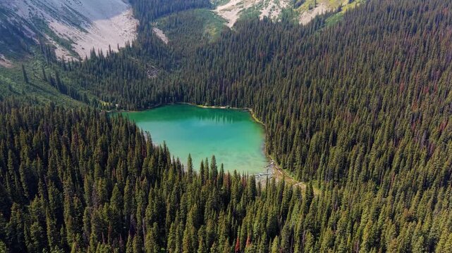 Lillian Lake pristine alpine waters surrounded by dense pine forest and mountain peaks. Kananaskis, Alberta, Canada. aerial view