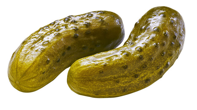 Isolated two fresh crunchy green pickles gherkins, perfect for a tasty snack food.