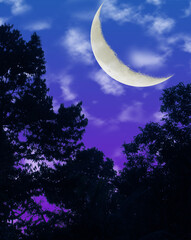 Large crescent moon glowing above silhouetted trees beneath a deep blue and purple sky © Wendy_Najwan3020