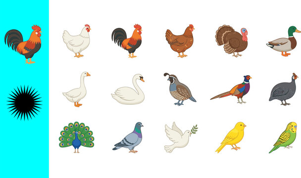 Collection of fifteen colorful poultry bird icons featuring rooster hen turkey duck goose swan quail pheasant guineafowl peacock pigeon dove canary budgie banner isolated white