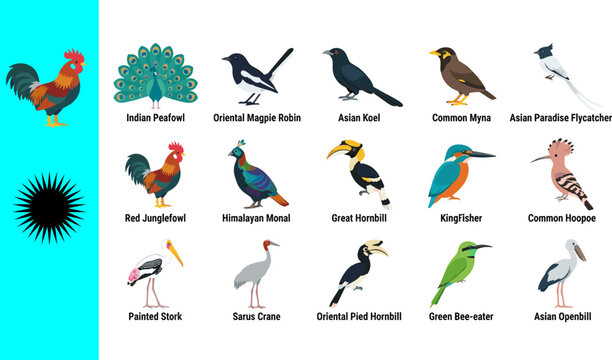 Collection of fifteen Indian bird icons featuring Indian Peafowl Oriental Magpie Robin Asian Koel Common Myna Paradise Flycatcher Red Junglefowl Himalayan Monal Great Hornbill Kingfisher