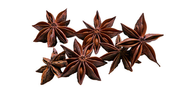 Isolated group of aromatic dried star anise spice pods for cooking and culinary seasoning