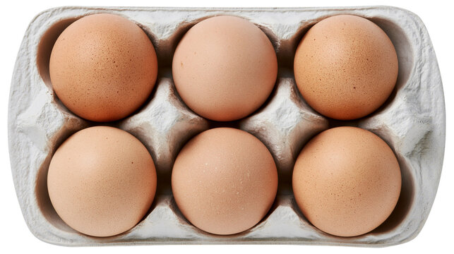 Isolated natural fresh organic brown eggs in a half dozen recycled paper egg carton.