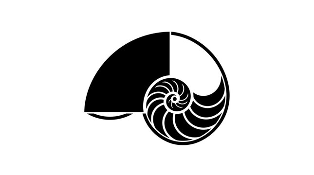 Black and white nautilus shell spiral logo.