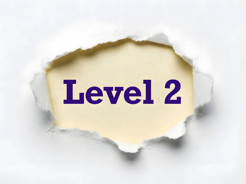 Master The Next Phase Of Personal Growth And Skill Development At The Level Two Milestone
