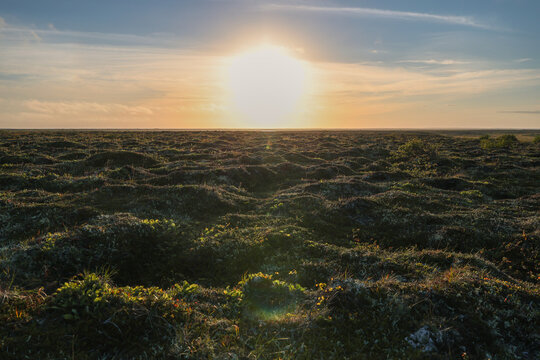 Warm sunset light spreads across the wide Alaskan tundra near the Egegik River, casting long shadows over open ground as soft colors fill the sky in a peaceful moment of remote wilderness beauty.