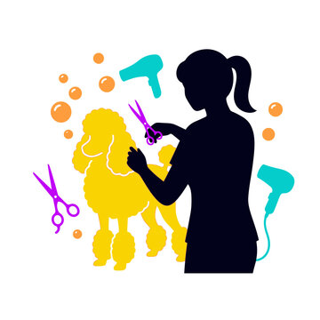 Dog grooming silhouette with a stylist cutting fur of a poodle