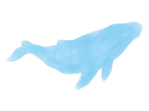 Ilustraci&oacute;n art&iacute;stica de una ballena azul nadando, realizada con un estilo de acuarela suave y et&eacute;reo sobre un fondo blanco puro, ideal para dise&ntilde;os minimalistas, decoraci&oacute;n infantil o proyectos