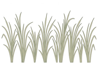 Obraz premium Ilustración vectorial plana de un grupo de tallos de hierba verde sobre un fondo blanco limpio, ideal para diseño gráfico, elementos decorativos de naturaleza o composiciones de paisajes minimalistas.