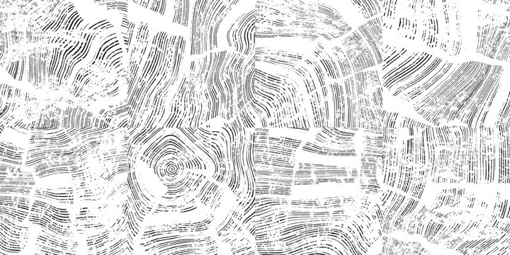 Collage wood texture, wood pattern mosaic, seamless pattern, black and white, vector panel