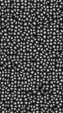 Vertical view of dense monochromatic cellular voronoi texture pattern moving organically on black background