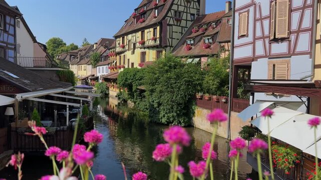 Picturesque canal in Little Venice, Colmar, featuring traditional half timbered houses and pink flowers. Summer view of the famous landmark