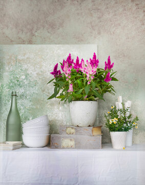 Vase with flowers