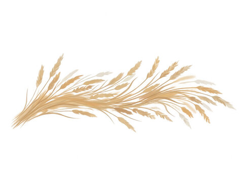 Ilustra&ccedil;&atilde;o elegante de espigas de trigo douradas dispostas em formato de onda horizontal, isolada em fundo branco, ideal para design de panifica&ccedil;&atilde;o e produtos naturais.