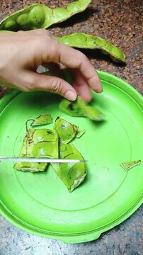 Cutting Petai Stink Beans with Scissors for Food Preparation