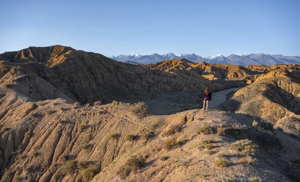 Tourist standing in a landscape of eroded hills at sunrise, Badlands, white mountain peaks of the Tian Shan Mountains in the background, Canyon of the Forgotten Rivers, Issyk Kul, Kyrgyzstan