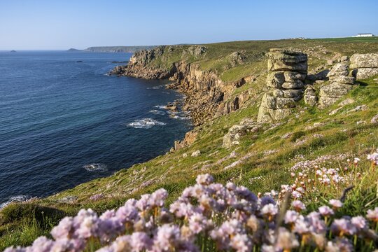 Coastal landscape at Land's End. Flowering sea carnations (Armeria maritima) in the foreground. Land's End, Penzance, Cornwall, England, Great Britain