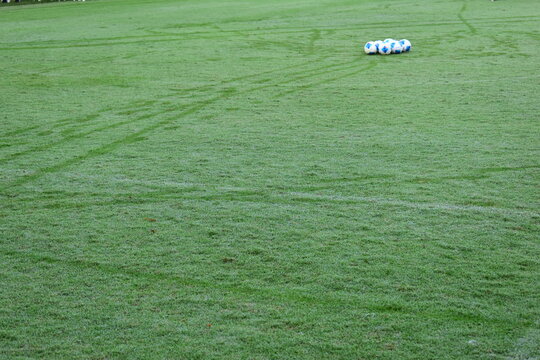 green grass background, exterior design