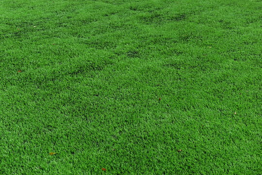 close up of clean green synthetic grass lawn surface