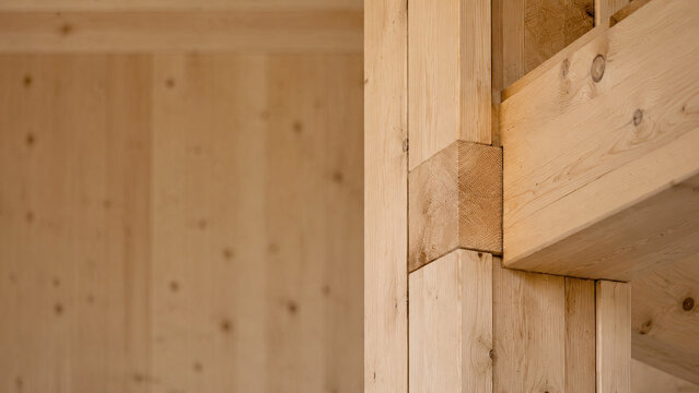 Mass timber construction sustainability concept in premium cinematic natural light