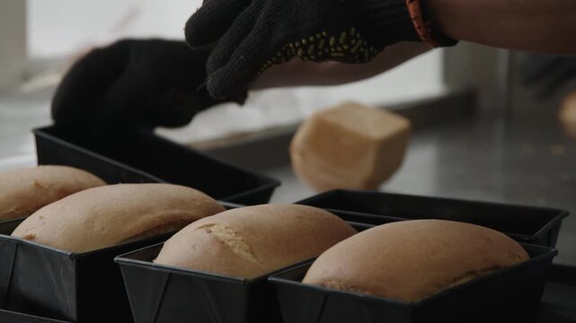 A person puts bread into rectangular baking pans on a kitchen counter. The bread is warm and just out of the oven. The kitchen is bright with natural light.