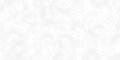 Abstract grid landscape topography white background. white and black relief line wireframe isoline location diagram world map texture design.   © MOHAMMAD