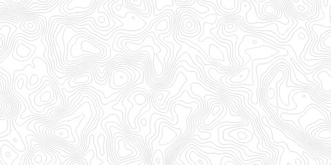 Abstract grid landscape topography white background. white and black relief line wireframe isoline location diagram world map texture design.   © MOHAMMAD
