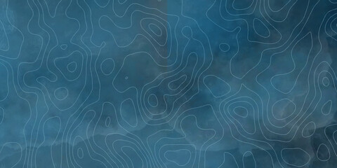 Abstract grid landscape topography white background. white and black relief line wireframe isoline location diagram world map texture design.   © MOHAMMAD