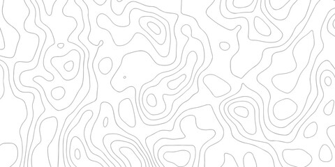 Abstract grid landscape topography white background. white and black relief line wireframe isoline location diagram world map texture design.   © MOHAMMAD